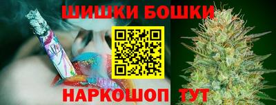 шишки Лесосибирск