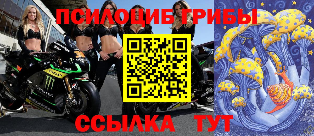 Псилоцибиновые грибы GOLDEN TEACHER  что такое   Каспийск  Вход с VPN 