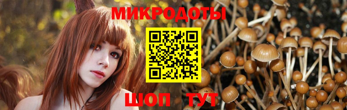 Галлюциногенные грибы Magic Shrooms Каспийск